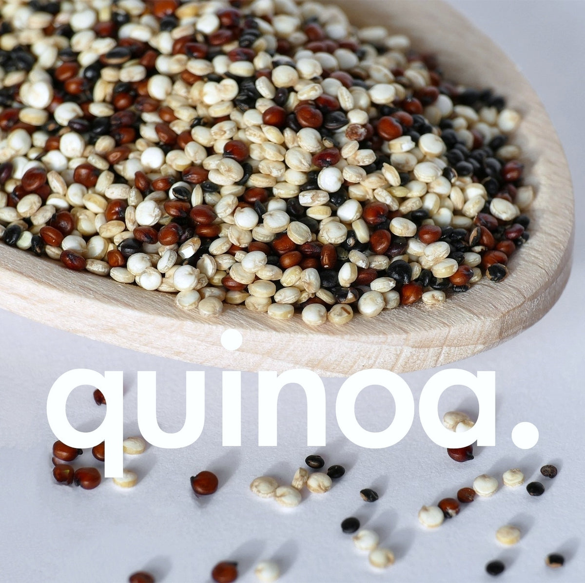 Blogpost Quinoa High Nutrition Food High Nutrition Food GmbH