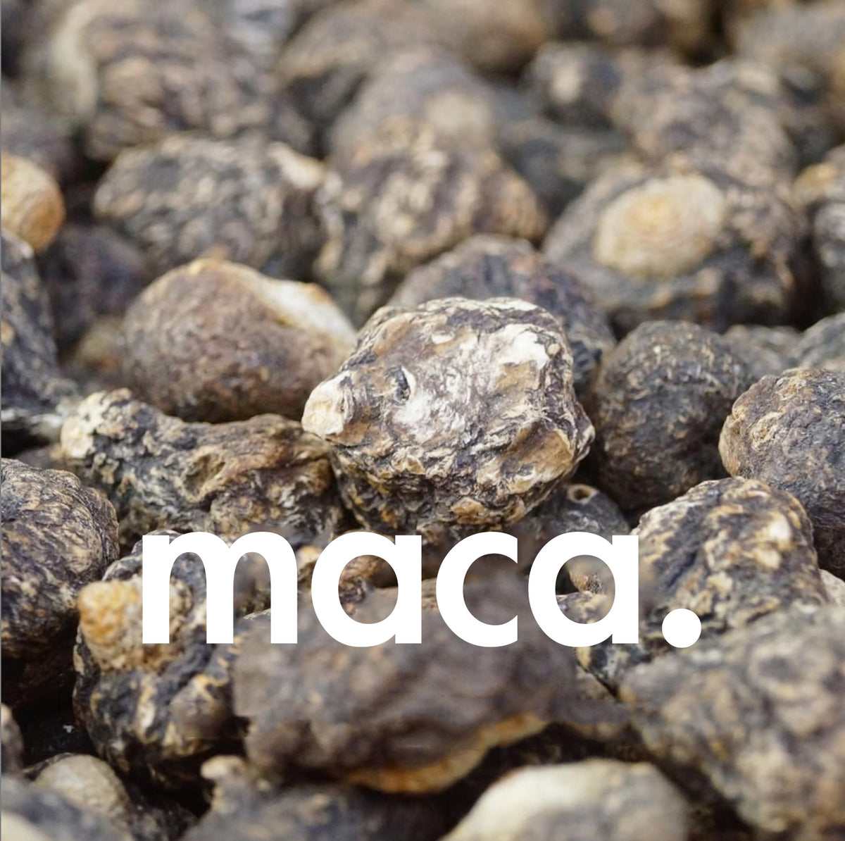Stücke von Maca, ein Wurzelgemüse das als Superfood gilt